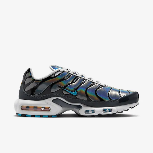 Nike Air Max Plus Grijs / Blauw