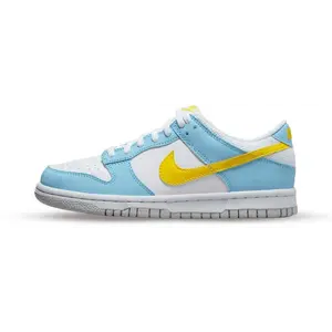 Jordan Dunk Low blauw