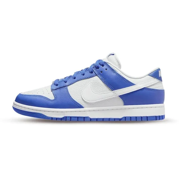 Nike Dunk Low wit