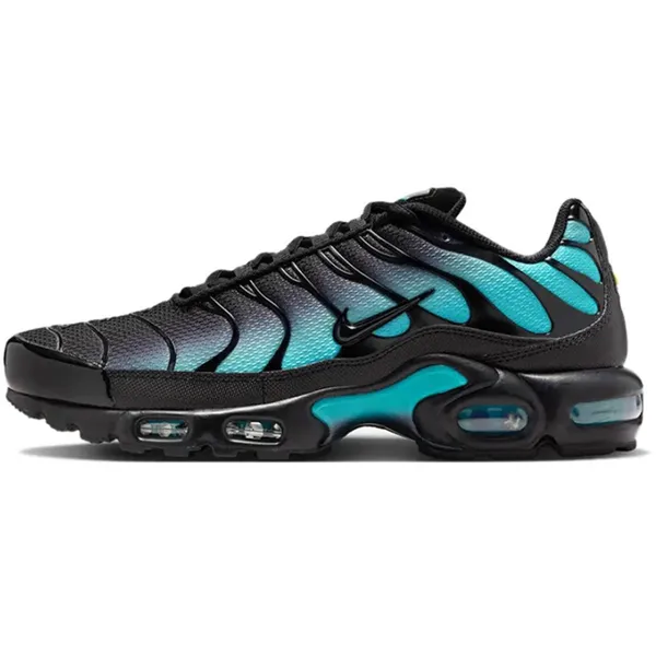 Nike Nike Air Max Plus Black Dusty Cactus — vergelijk prijzen bij 1 winkel