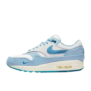Nike Air Max 1 multicolor
