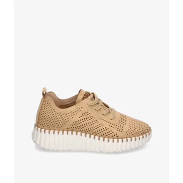 D'angela Sneakers D'angela 28235 — vergelijk prijzen bij 1 winkel