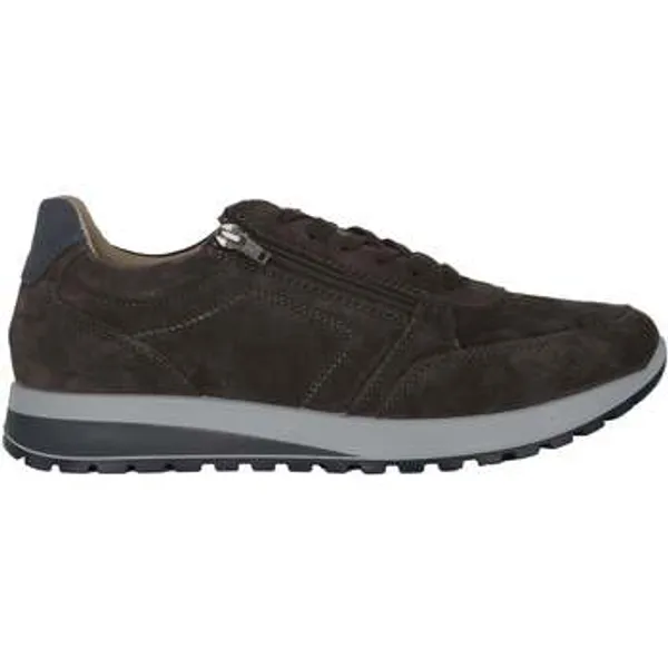 Ara Sneakers  Matteo Bruin