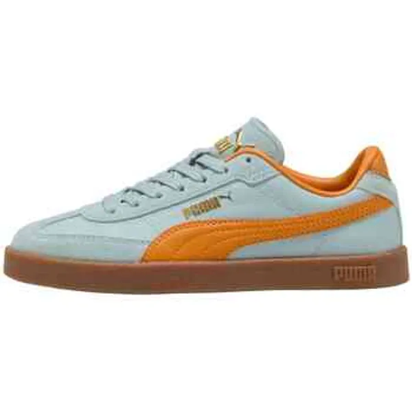 Puma 077 Blauw, vergelijk prijzen bij 1 winkel