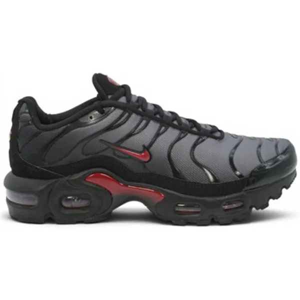 Nike Air Max Plus Zwart