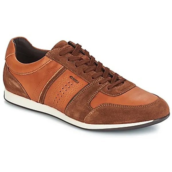 Geox Lage Sneakers  CLEMENT Bruin
