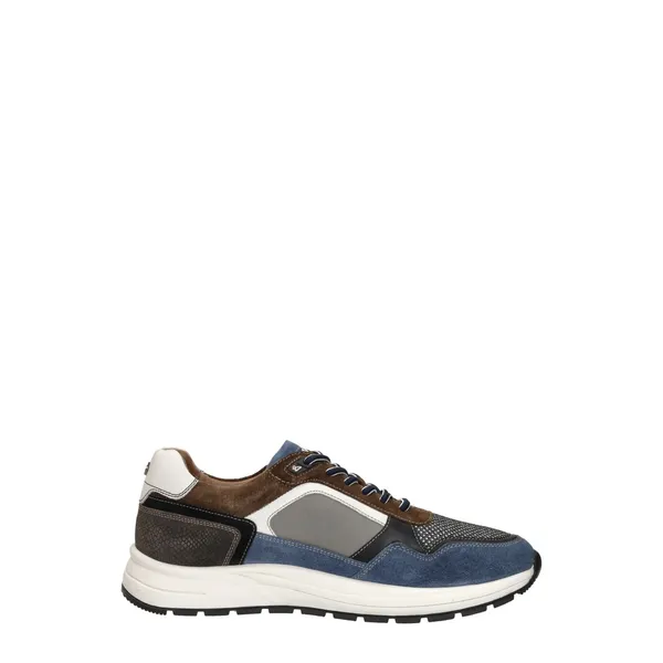 Australian Moreno Blauw, foto 4 van 4