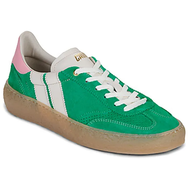 Caval High Pulse Pine Bloom Groen, vergelijk prijzen bij 1 winkel
