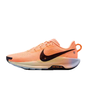 Nike Pegasus oranje