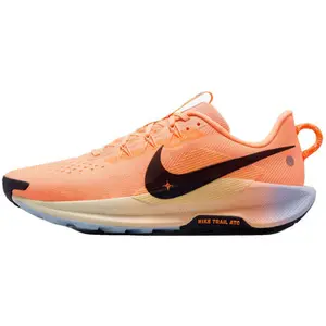 Nike Pegasus oranje