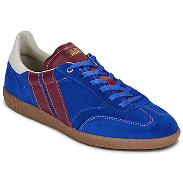 Caval Pulse Cobalt Storm Blauw, vergelijk prijzen bij 1 winkel