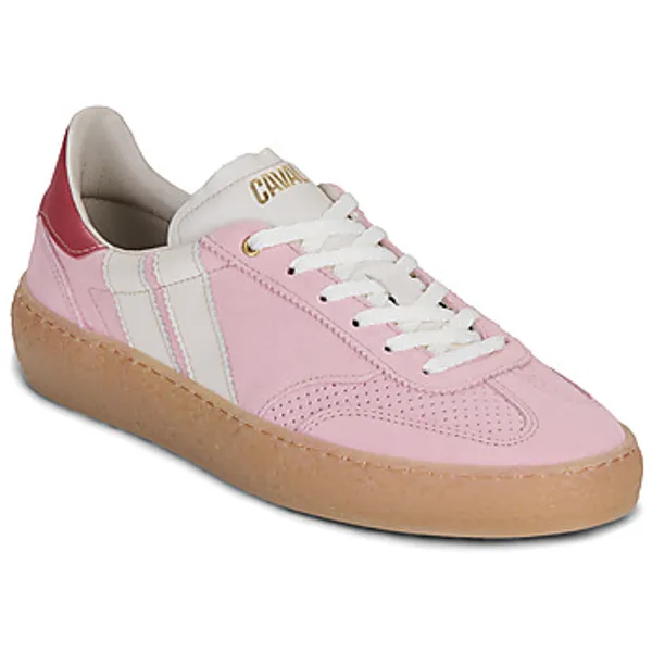 Caval High Pulse Pinky Frost Roze, vergelijk prijzen bij 1 winkel