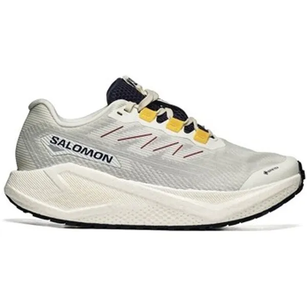 Salomon Aero Blaze 3 Grvl GTX Multicolor, vergelijk prijzen bij 1 winkel