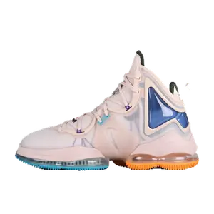 Nike LeBron overige kleuren