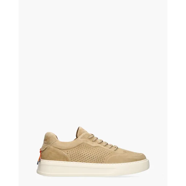 Barracuda Phoenix Beige, vergelijk prijzen bij 1 winkel