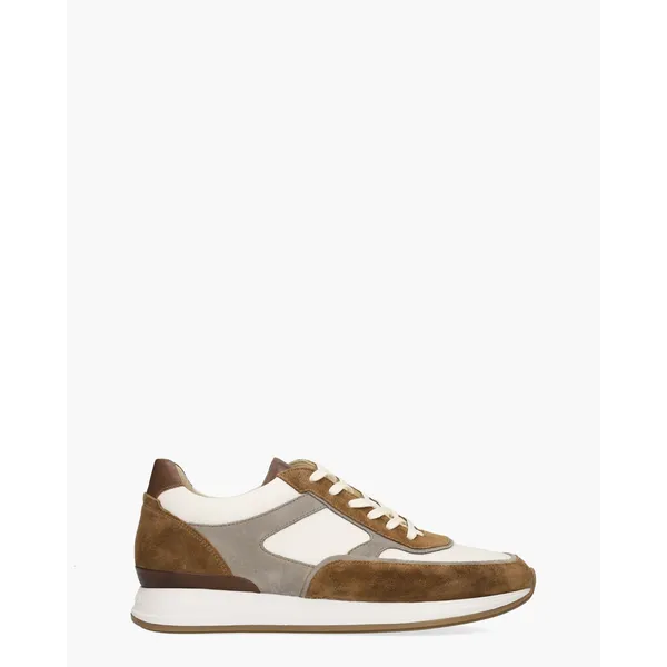 Van Bommel Libra 05.06 Bruin, vergelijk prijzen bij 1 winkel