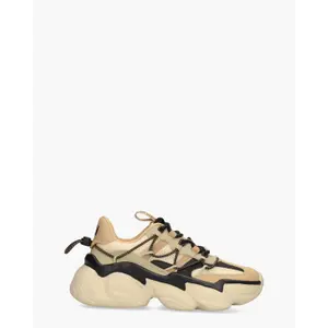 Steve Madden Spectator bruin