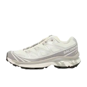 Salomon XT-6 zilver