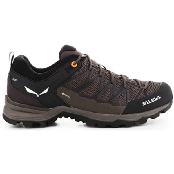 Salewa Mtn Trainer Lite GTX Bruin, vergelijk prijzen bij 1 winkel