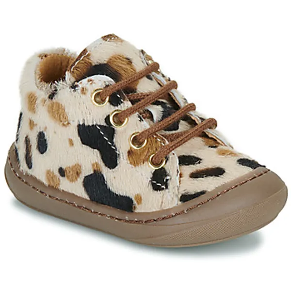 GBB Reine Beige, vergelijk prijzen bij 1 winkel