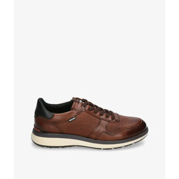 Pikolinos M1W-6244 Bruin, vergelijk prijzen bij 1 winkel