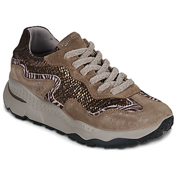 IGI&Co D.artika Beige, vergelijk prijzen bij 1 winkel