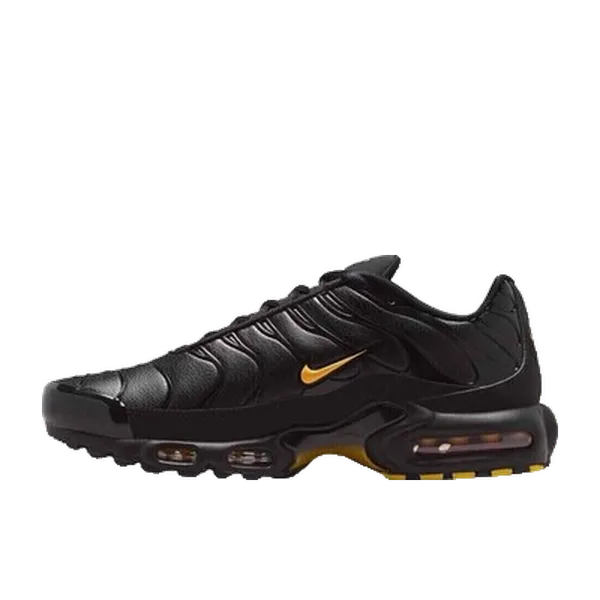 Nike Air Max Plus Tuned Zwart, vergelijk prijzen bij 2 winkels