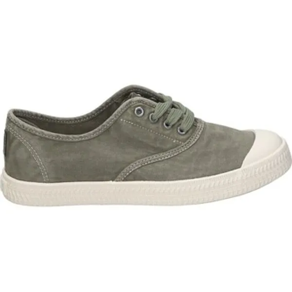 C. Tapioca C. Tapioca C. Tapioca Groen, vergelijk prijzen bij 1 winkel