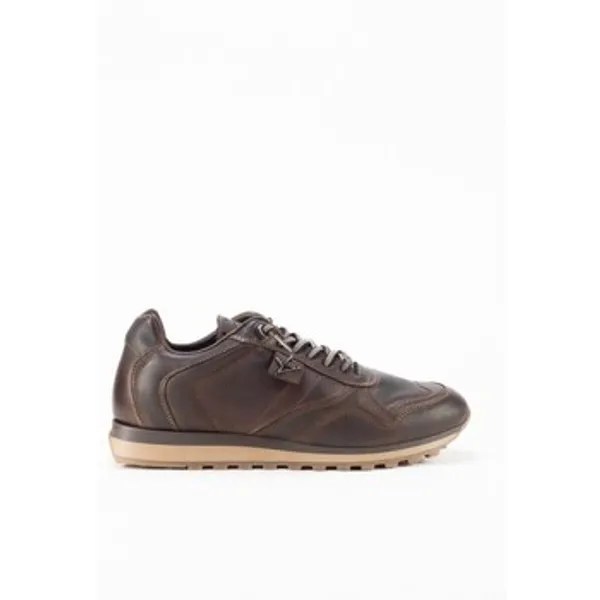 Cetti Lage Sneakers Bruin, vergelijk prijzen bij 1 winkel