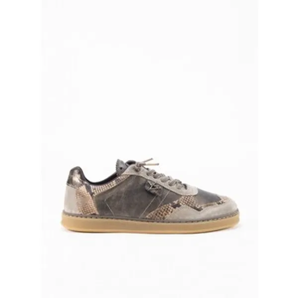 Cetti Lage Sneakers Beige, vergelijk prijzen bij 1 winkel