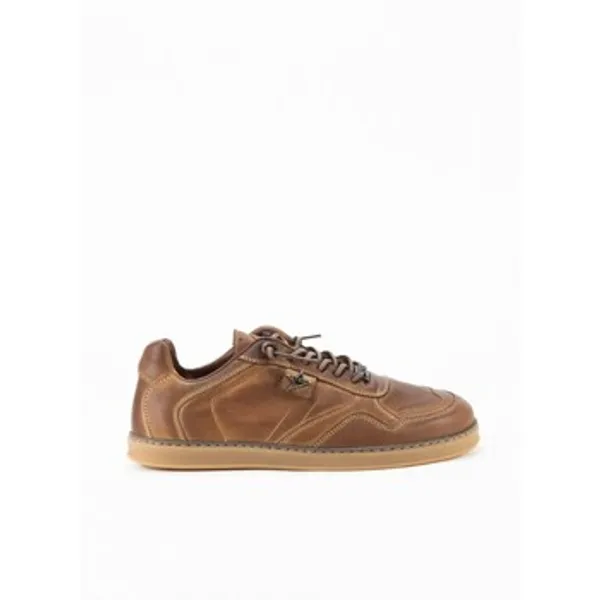 Cetti Lage Sneakers Bruin, vergelijk prijzen bij 1 winkel