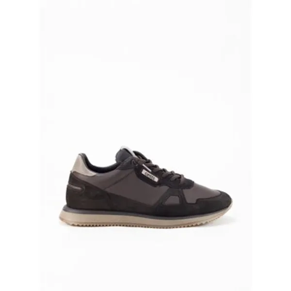 Cetti Sneakers Bruin, vergelijk prijzen bij 1 winkel