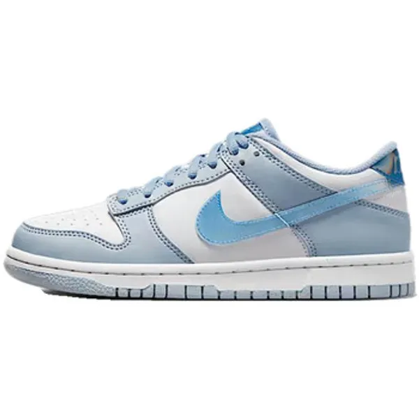 Nike Dunk Low Next Nature Réfléchissantes Blauw, vergelijk prijzen bij 1 winkel