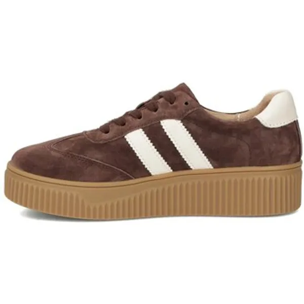 Filippo Sneakers Bruin, vergelijk prijzen bij 1 winkel