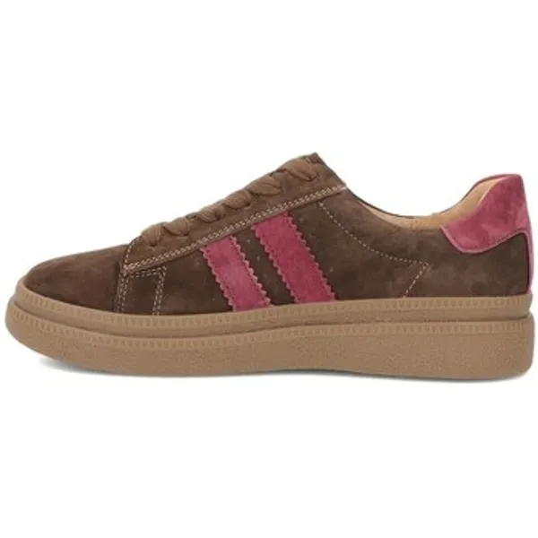 Filippo Lage Sneakers Bruin, vergelijk prijzen bij 1 winkel