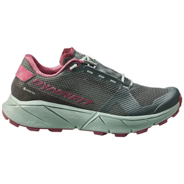 Trail Dynafit de Trail Running Ultra 100 GORE-TEX Grijs, vergelijk prijzen bij 1 winkel