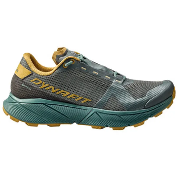 Trail Dynafit Ultra 100 GORE-TEX Grijs, vergelijk prijzen bij 1 winkel