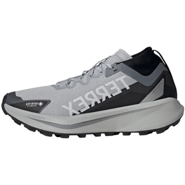 Trail Adidas Terrex Agravic GTX Imperméables Grijs, vergelijk prijzen bij 1 winkel