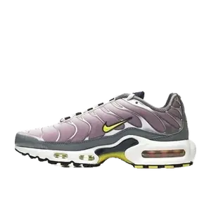 Nike Air Max Plus paars