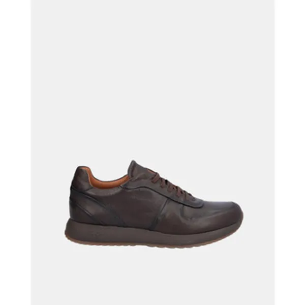 Kangaroos 1230 Bruin, vergelijk prijzen bij 1 winkel