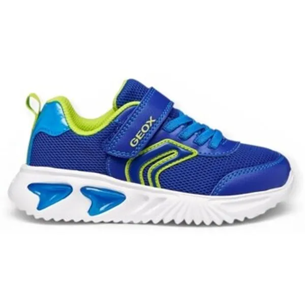 Geox Assister Blauw, vergelijk prijzen bij 1 winkel