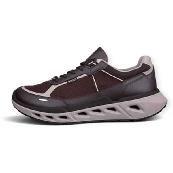 ECCO Biom 720 GTX Bruin, vergelijk prijzen bij 1 winkel