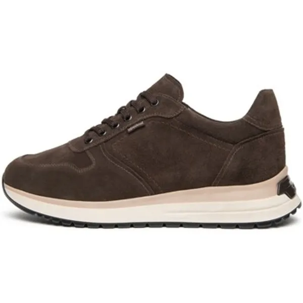 NeroGiardini Arold Colo Pu.Bidens.Alghero B1 Bruin, vergelijk prijzen bij 1 winkel