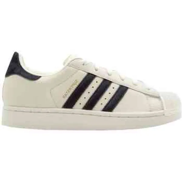 adidas Superstar "Off White / Black", vergelijk prijzen bij 1 winkel