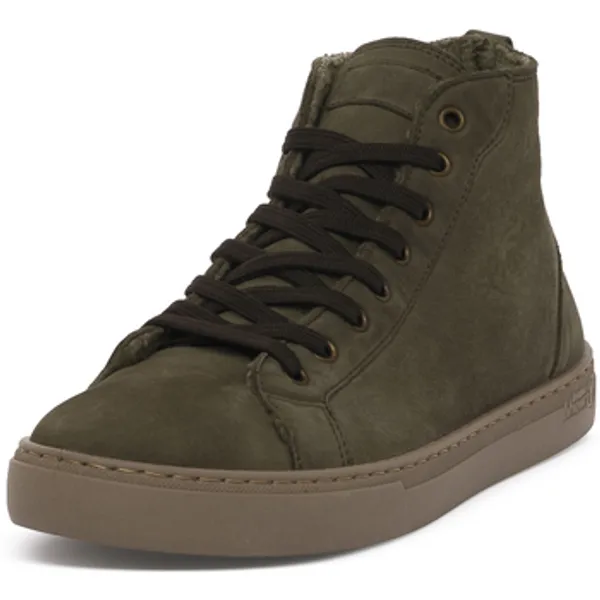 Natural World Bota Forest, vergelijk prijzen bij 1 winkel