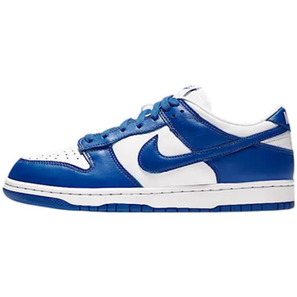 Nike Dunk Low Special Edition, foto 2 van 2