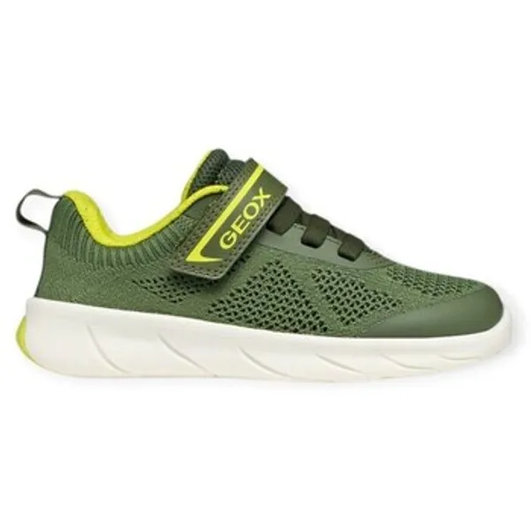 Geox Foot-Run Groen, vergelijk prijzen bij 1 winkel