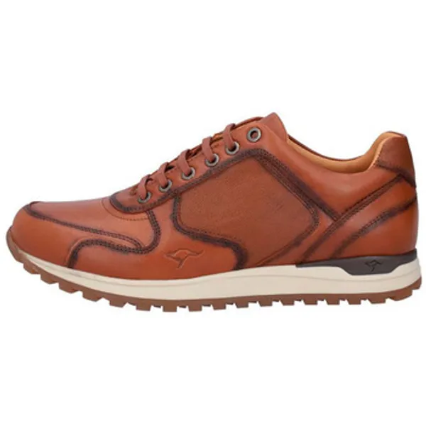 Kangaroos 1207 Bruin, vergelijk prijzen bij 1 winkel