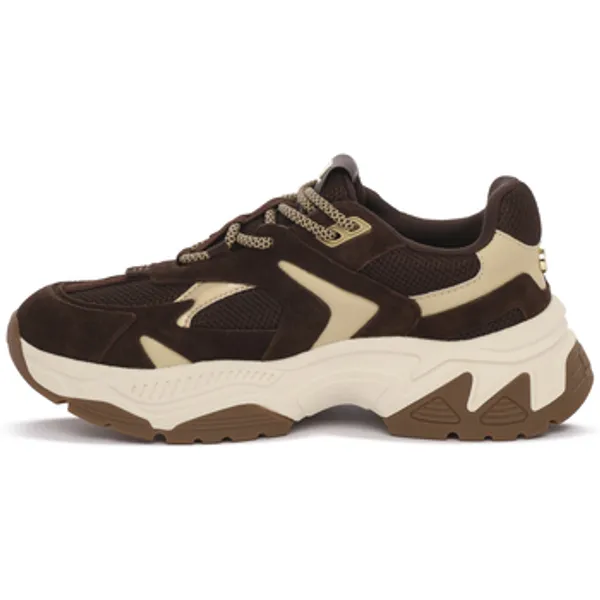 Steve Madden Ample Chocolate Brown Suede, vergelijk prijzen bij 1 winkel