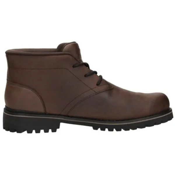 Nette Skechers Slip-Ins: Quintero Damien Bruin, vergelijk prijzen bij 2 winkels